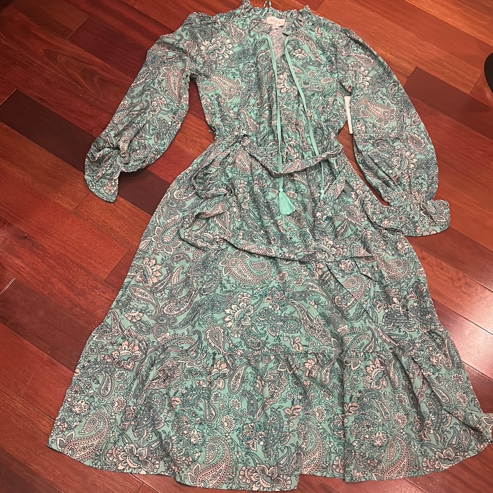 Aura Maxi dress